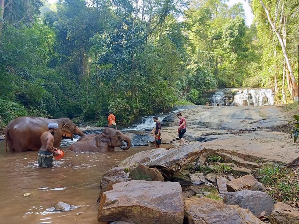 Elephant Care Sanctuary