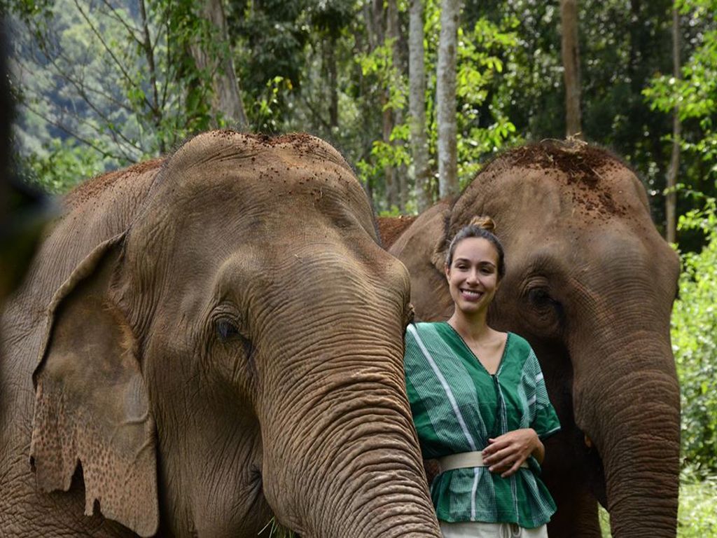 Bathing rescued elephants in the river at the Elephant Care Sanctuary