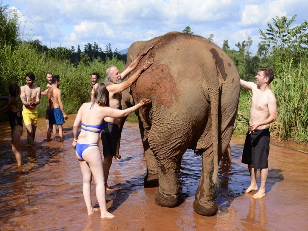 Elephant Care Sanctuary